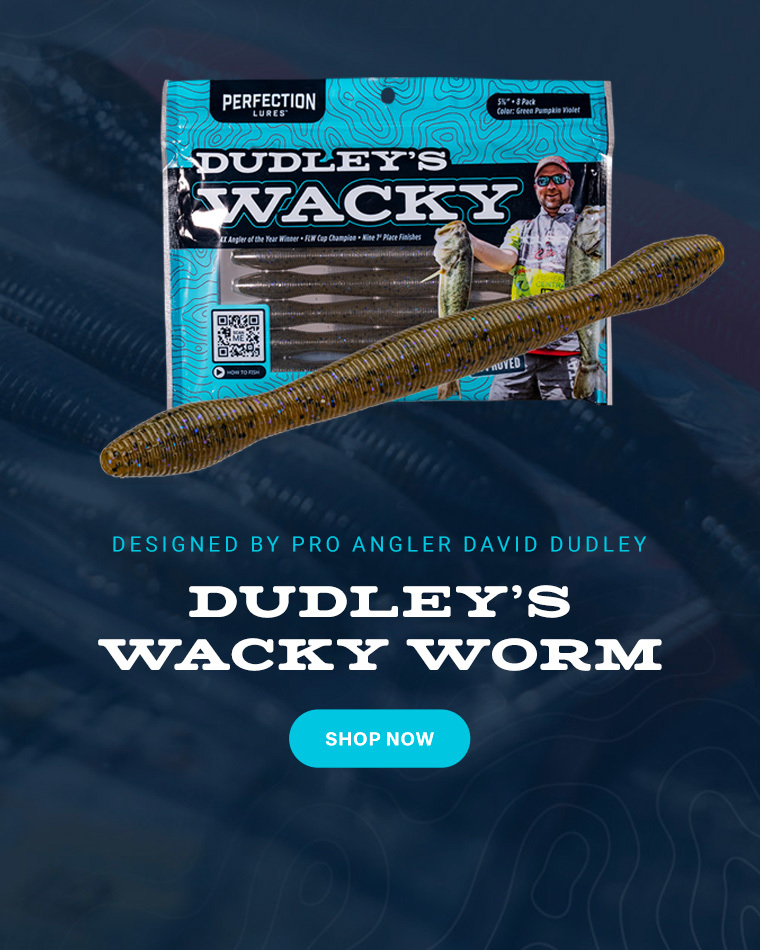 Perfection Lures DDWACKYKIT David Dudley's Pre-Rigged Wacky Worm Kit