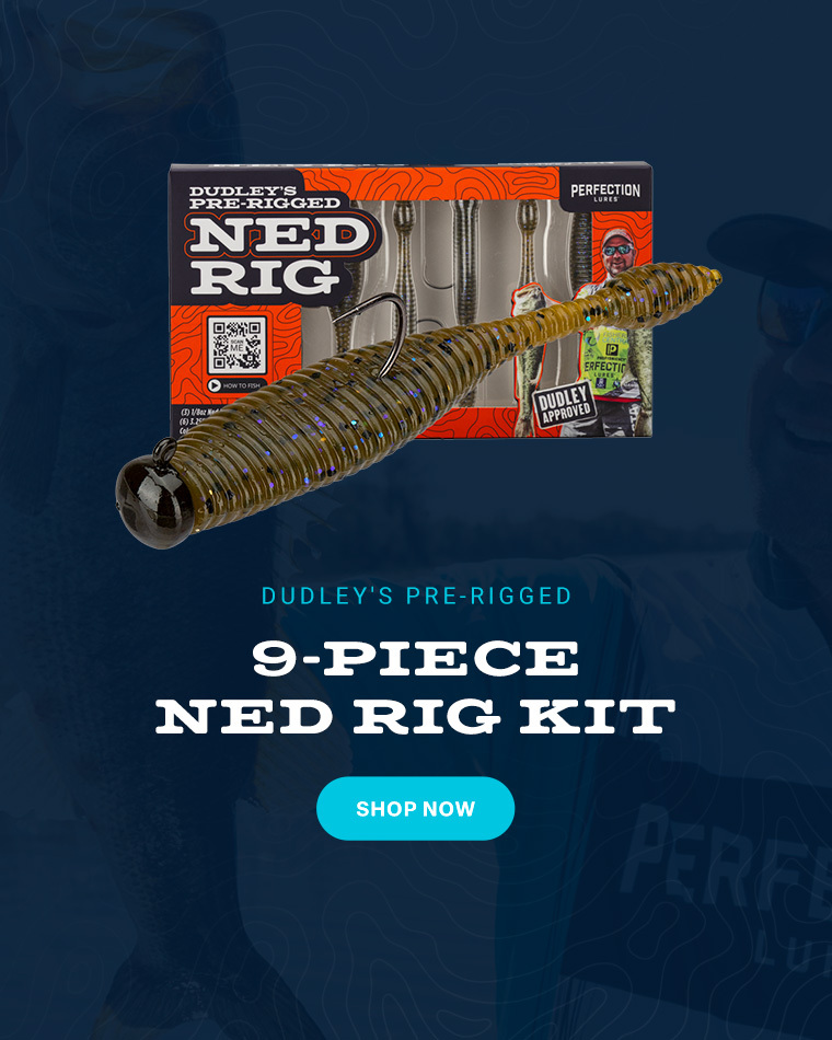 Perfect Neko Rig Bundle